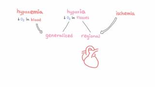 Introduction to hypoxemia [upl. by Ginevra821]