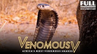 Worlds Longest Snakes EP 424  SnakeBytesTV  AnimalBytesTV [upl. by Nairda]