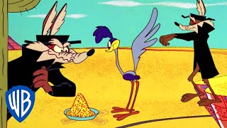 Looney Tunes  Wile Y Coyote the Failed Spy  Classic Cartoon  WB Kids [upl. by Annaitat463]