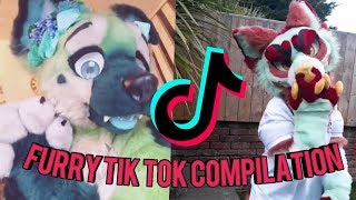 Furry Tik Tok Compilation [upl. by Aivax]