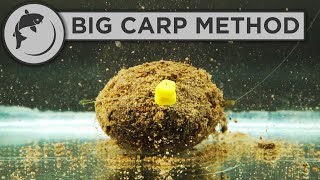 How To Fish The Method Feeder For BIG CARP [upl. by Konopka]