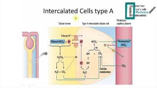 AcidBase Disorders and Their Management [upl. by Raseta]