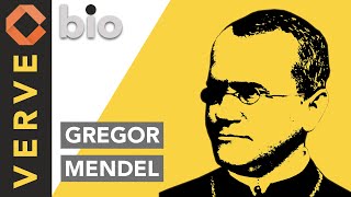 Gregor Mendel o Pai da Genética [upl. by Jefferey37]