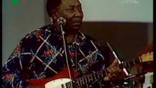 Muddy Waters in 1976 Kansas City superb cover [upl. by Ahsela]