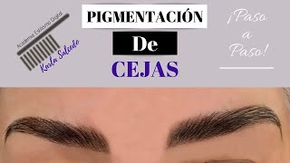 Pigmentación de cejas J Denis Paso a Paso [upl. by Einyaj195]