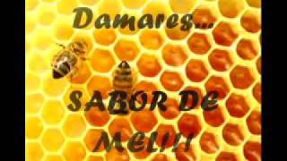 Sabor de mel  Damares [upl. by Neevan]