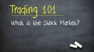 Trading 101 What is the Stock Market [upl. by Nerreg]