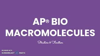 AP Bio Macromolecules [upl. by Zapot911]