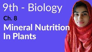 9th Class Biology  Ch 8 Nutrition  Mineral Nutrition in Plants  Matric Part 1 Biology [upl. by Ioves]