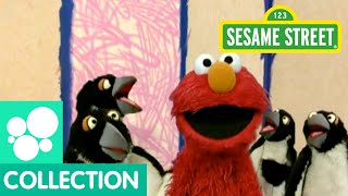 Sesame Street Elmos World Penguins [upl. by Dirraj]