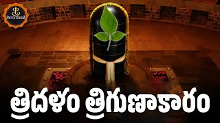 TRIDALAM TRIGUNAKARAM WITH TELUGU LYRICS AND MEANINGS  LORD SHIVA POWERFUL SONGS [upl. by Neema]