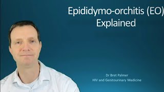 Epididymoorchitis EO explained 49 [upl. by Vesta]