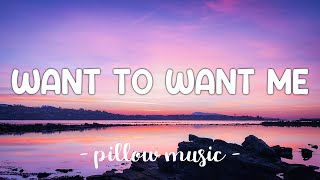 Want To Want Me  Jason Derulo Lyrics 🎵 [upl. by Akihc613]