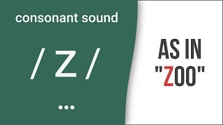 Consonant Sound  z  as in quotzooquot – American English Pronunciation [upl. by Maxentia595]