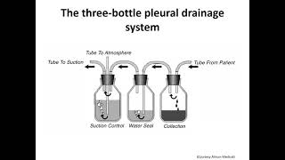 Comprehensive Pleural Procedures [upl. by Ahsimed]