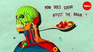 How sugar affects the brain  Nicole Avena [upl. by Tosch770]