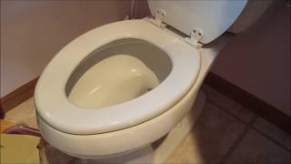 DIY 101 How To Remove amp Replace a Toilet Seat [upl. by Vigen]