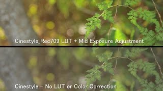 Canon 80D with Cinestyle  REC 709 LUT Final Cut Pro Tutorial [upl. by Ettesus]