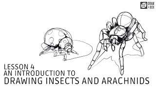 Drawabox Lesson 4 An Introduction to Drawing Insects and Arachnids [upl. by Imekawulo761]