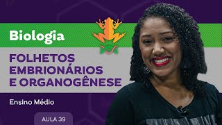 Folhetos embrionários e organogênese  Biologia  Ensino Médio [upl. by Joappa]