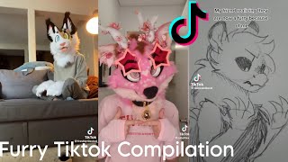 Furry Tiktok Compilation 35 [upl. by Hayimas656]