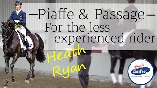 Piaffe and Passge for beginners  Dressage with Heath Ryan [upl. by Arhas]