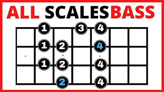 ✅ Bass Guitar Scales for Beginners 💥【All You Need to Know】✅ Bass Scales Patterns [upl. by Ahseuqal]