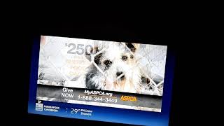 ASPCA End of Year Commercial [upl. by Altman208]