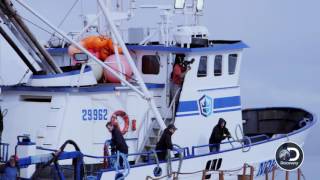 A Race to Get Medical Help for Sig  Deadliest Catch [upl. by Assillim]