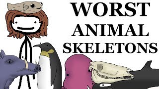 Top 10 Worst Animal Skeletons [upl. by Kehr]