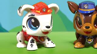 Build a Bot Paw Patrol  Instructional Video [upl. by Haff]