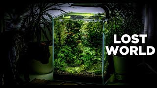 My LostWorld nano tank  The ultimate nature aquarium for beginners [upl. by Ellehsim649]