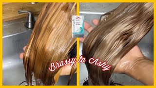 From Brassy to Ash Blonde  Which Wella Toner should I use Aquadiva [upl. by Madalyn]