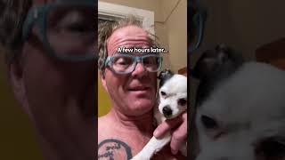 Senior Chihuahua Tells Her Family When Its Time For Bed  The Dodo [upl. by London]