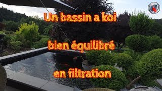 Un bassin a koi bien équilibré en filtration  A koi pond well balanced in filtration [upl. by Eesdnil]