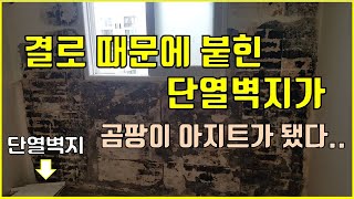 단열벽지 셀프시공 후에 나도 모르는 곰팡이가이보드로 다시 셀프시공 [upl. by Elleraj406]