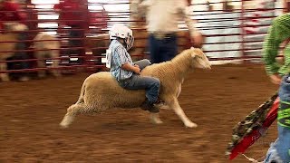 Mutton Bustin [upl. by Einhpets]