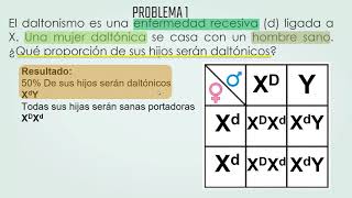 PROBLEMAS DE HERENCIA LIGADA AL SEXO [upl. by Litman]