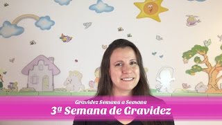 3ª SEMANA DE GRAVIDEZ [upl. by Alrahc]