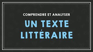 COMPRENDRE ET ANALYSER UN TEXTE [upl. by Nadda930]