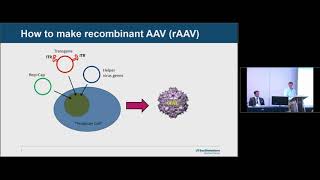 Basics of AAV Gene Therapy [upl. by Lymn]