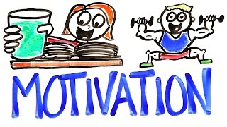 The Science Of Motivation [upl. by Yregerg]