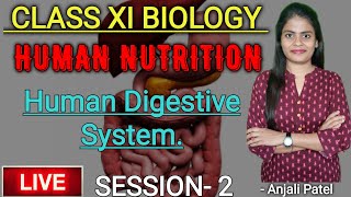 Class 11th Biology  Human nutrition  Human Digestive System  Session 2  Anjali Patel [upl. by Nyrhtakyram]