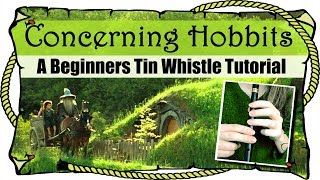 Lord Of The Rings  Concerning Hobbits  BEGINNERS TIN WHISTLE TUTORIAL [upl. by Milore]