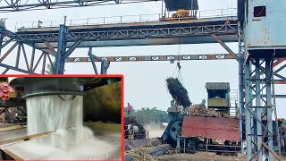 How To Manufacturing Sugar From Sugarcane In Sugar Mill With All Process 2021 [upl. by Elumas]