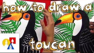 How To Draw A Realistic Toucan [upl. by Judi284]