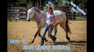 How To Start Liberty Training With Your Horse Basic Exercises Part 1 [upl. by Sucramej249]