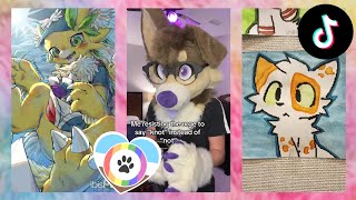 Furry TikToks Compilation 16 [upl. by Naitsabes]