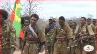 Oromo Liberation Front Army WBO [upl. by Paviour]