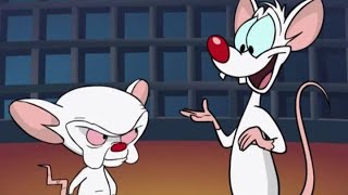 Pinky and the Brain  Intro  Outro Music [upl. by Truda]